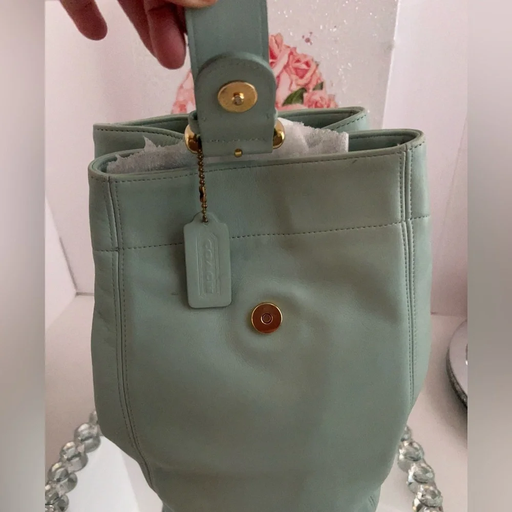 Coach chic mint